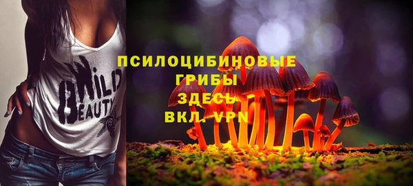 MESCALINE Нязепетровск