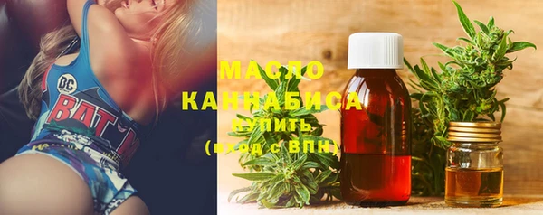 mdpv Краснослободск