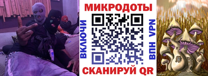 Псилоцибиновые грибы Psilocybe  Кола 